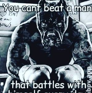 Meet your Posher, Mitchell